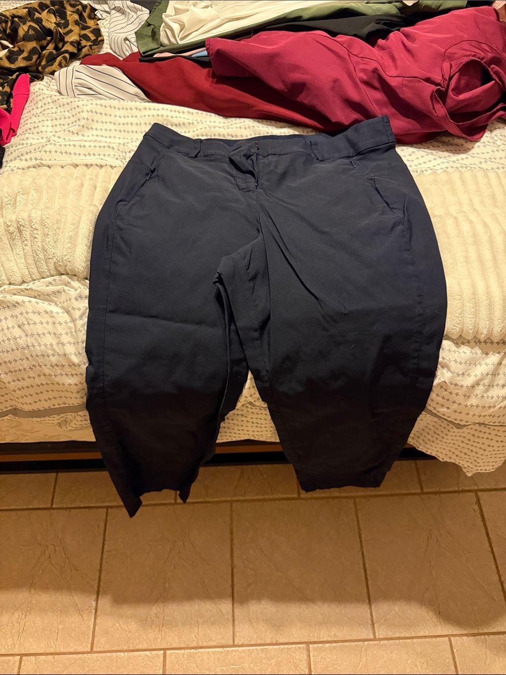 Lane Bryant  Navy Ankle Pants- Classic Summer Staple